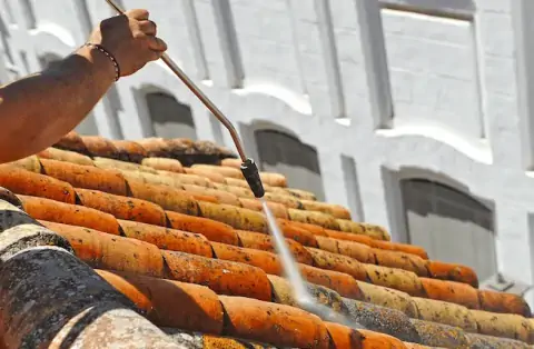 Démoussage de toiture à Cenon